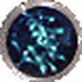 Thumbnail for version as of 16:26, 24 September 2026